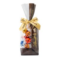 LINDOR TRUFA SORTIDO - BAG 262g - 02 - WEB
